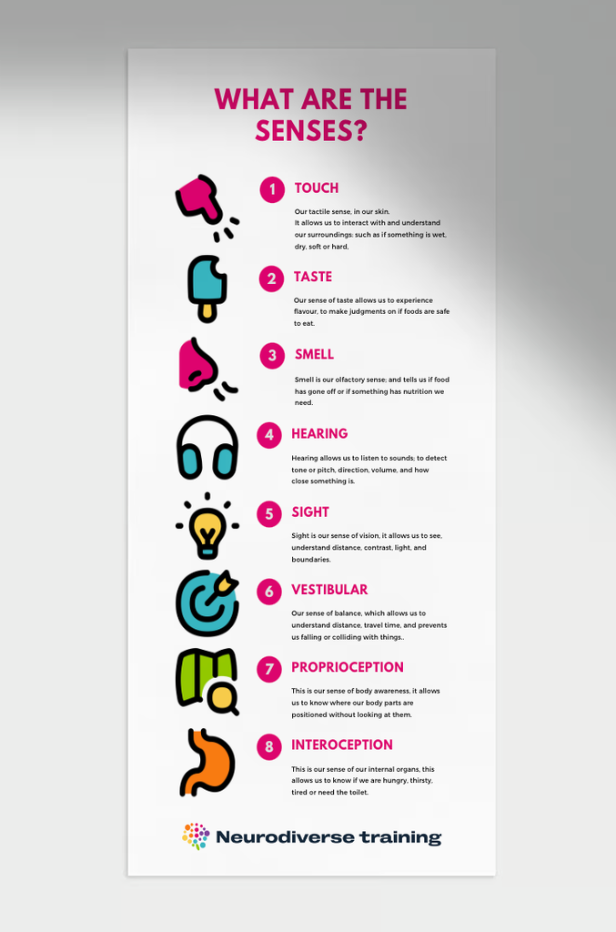 what are the senses infographic.webp