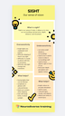 Sight Infographic