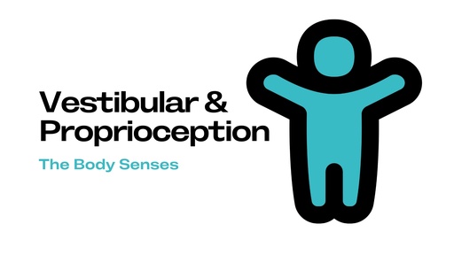 Vestibular & Proprioception