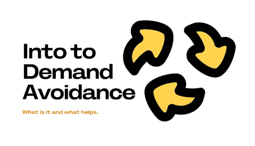 Introduction to Demand Avoidance